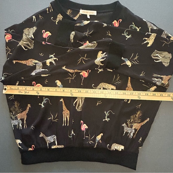 Harper Wren - Picture 11 of 11